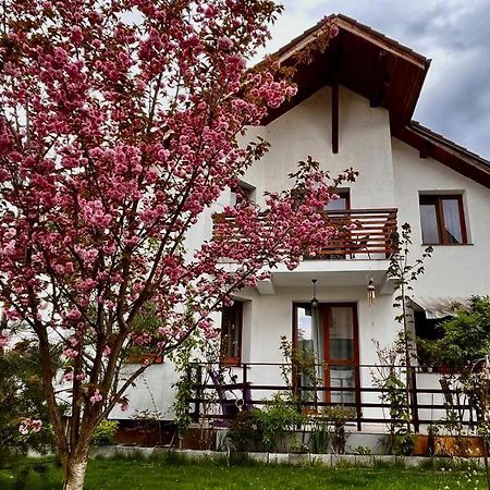 Cristina House Daire Braşov Dış mekan fotoğraf