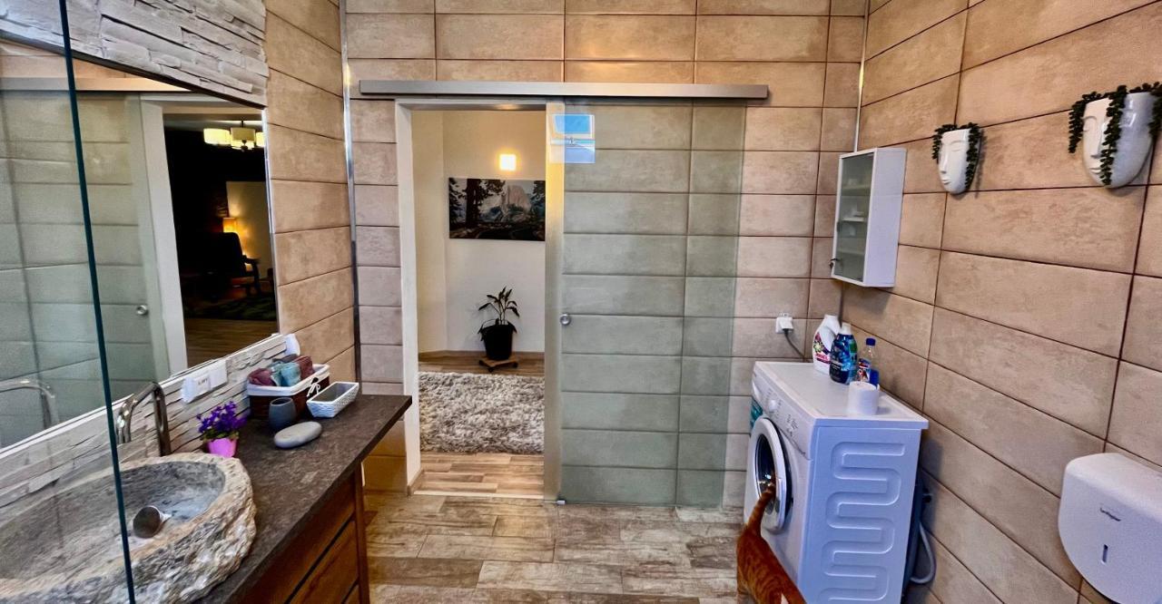 Cristina House Daire Braşov Dış mekan fotoğraf