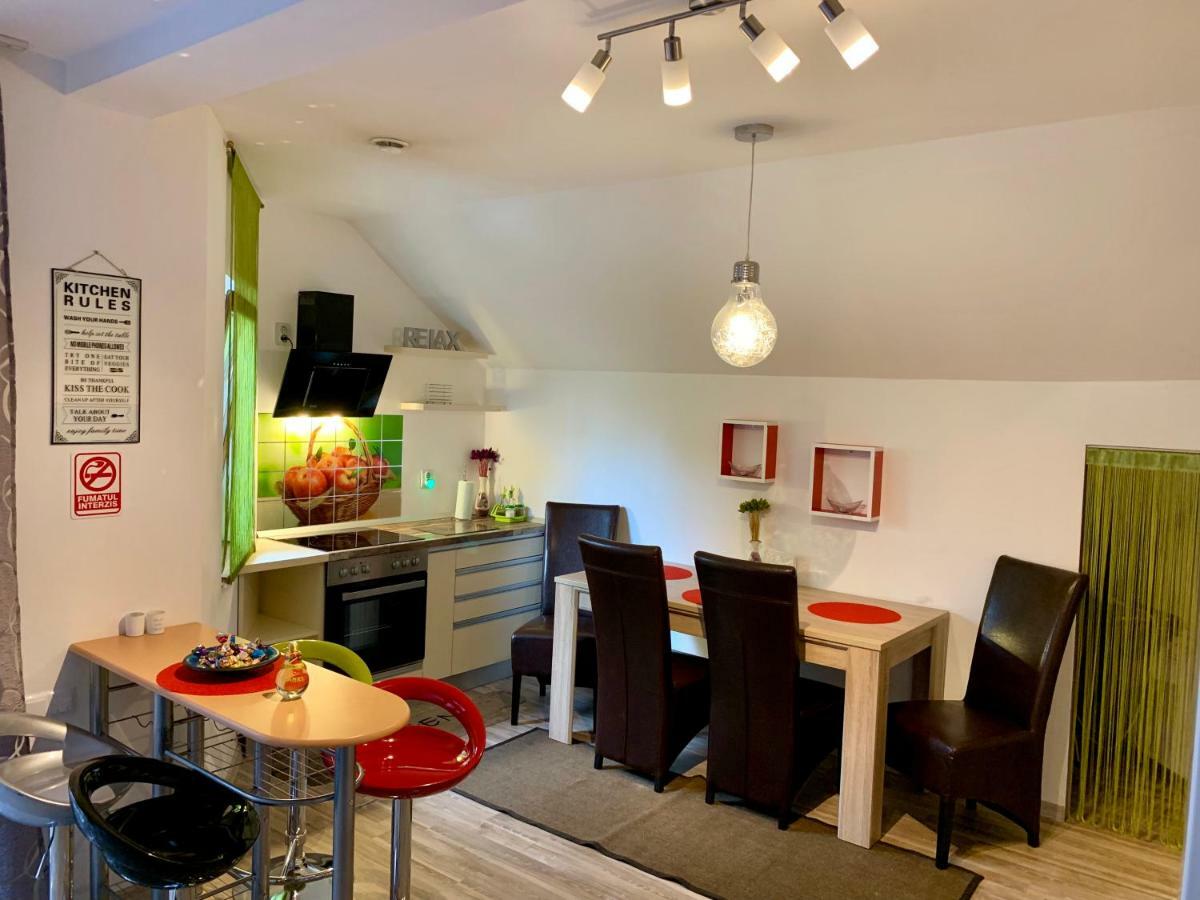 Cristina House Daire Braşov Dış mekan fotoğraf